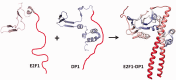 <sc>Fig</sc>. 10.