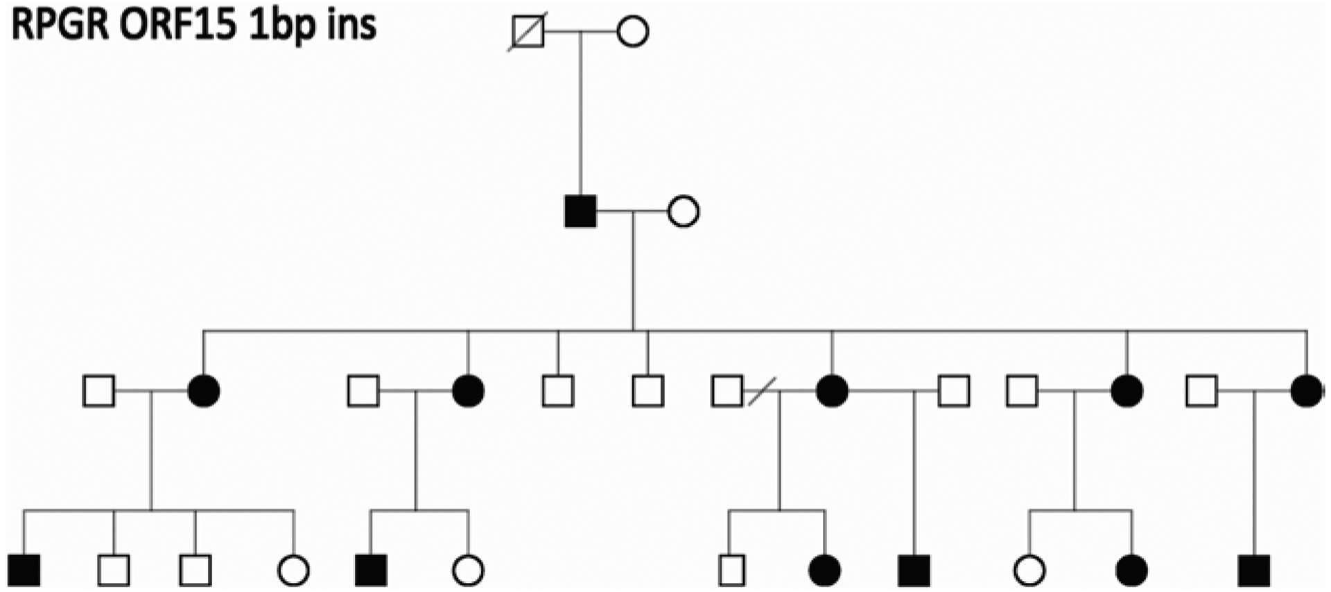 Fig.29.1