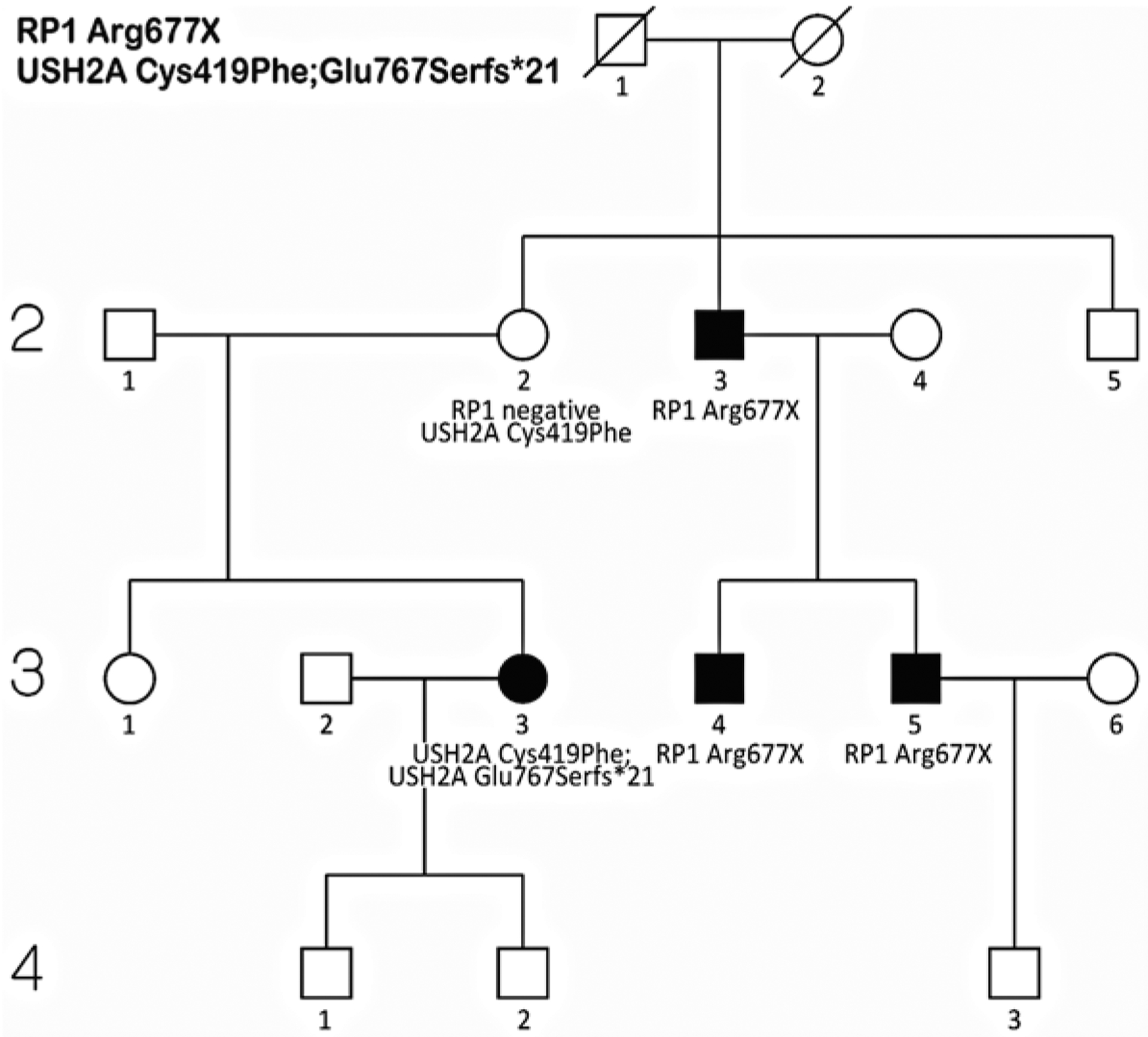 Fig.29.4