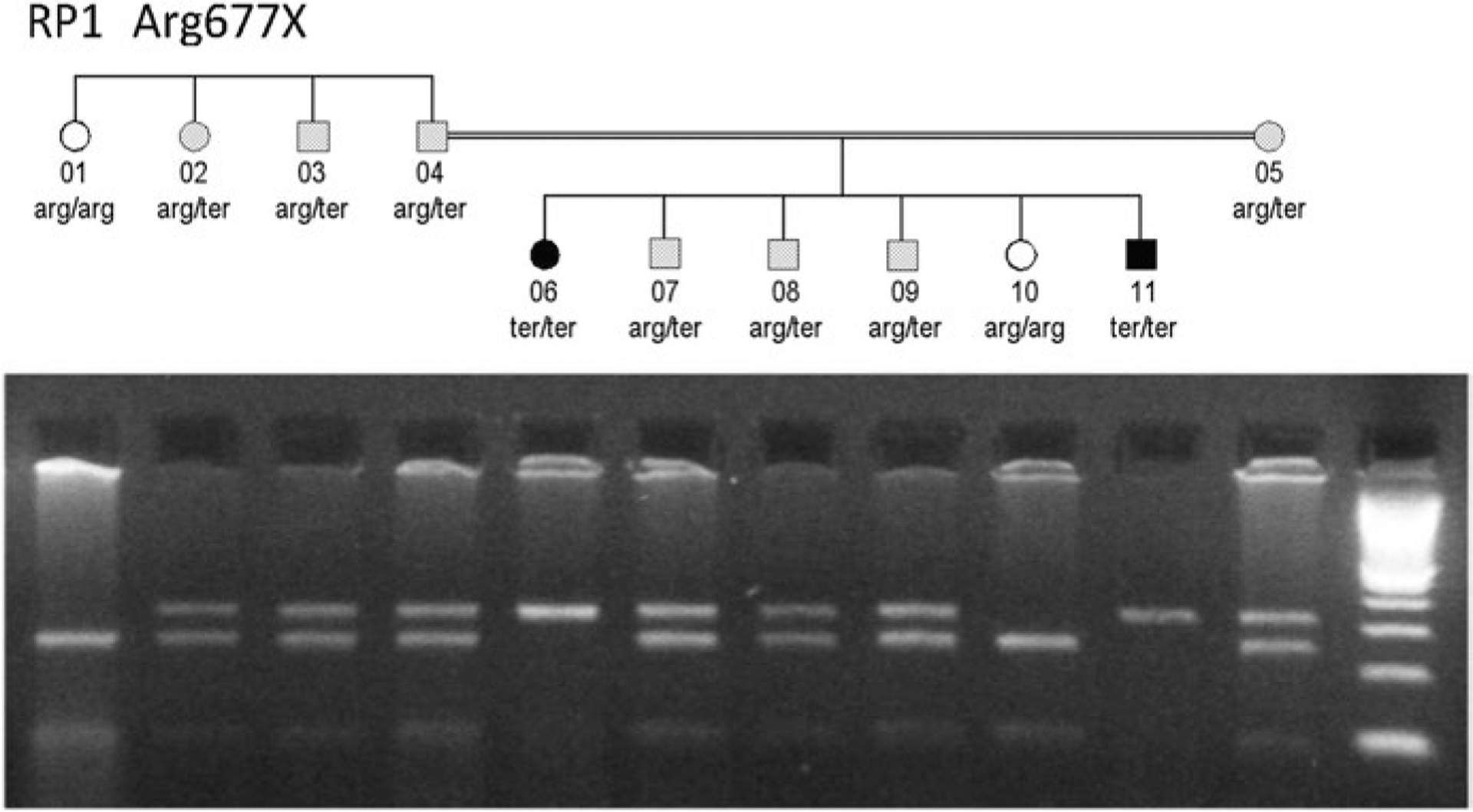 Fig.29.3