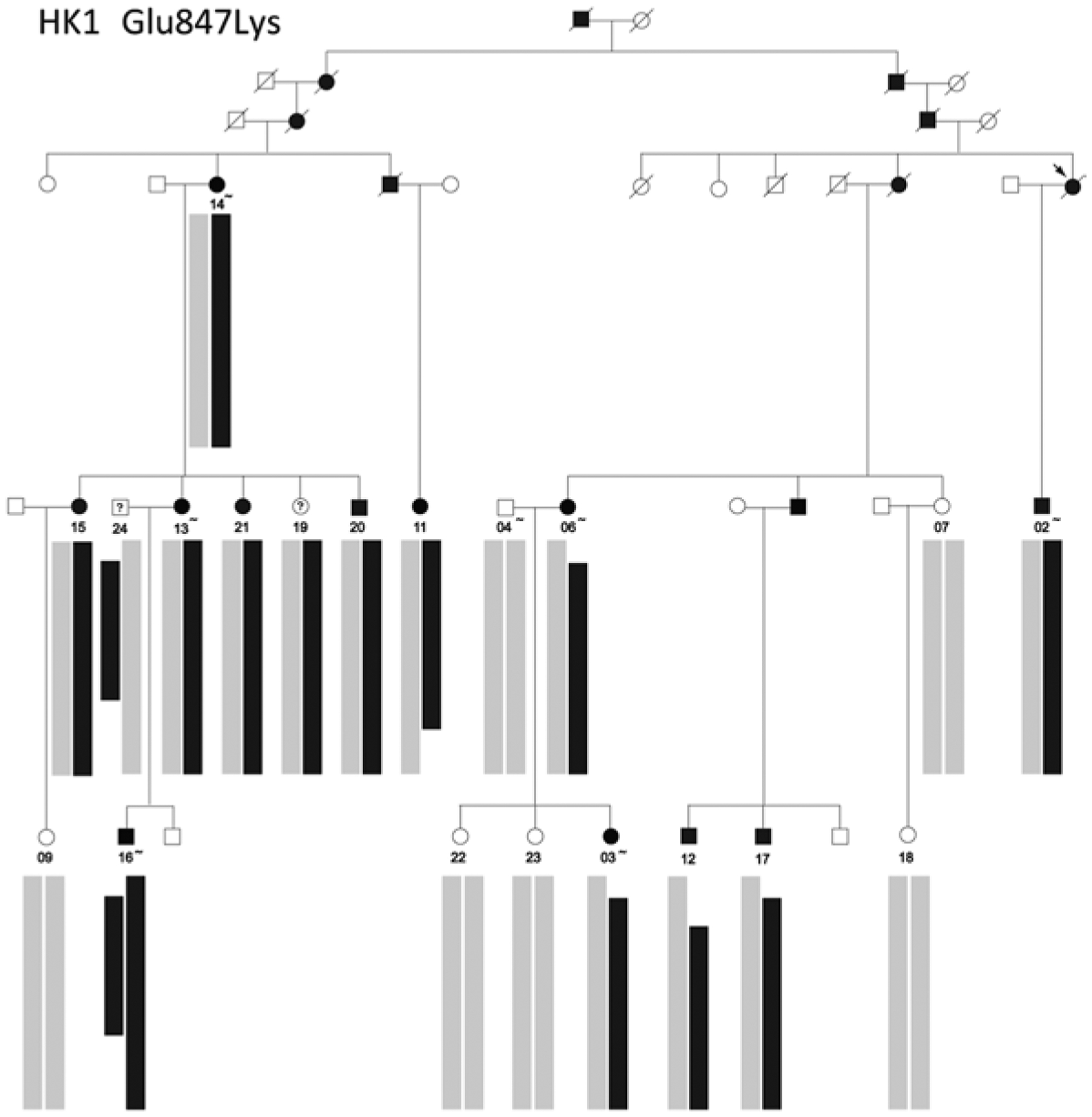 Fig.29.2