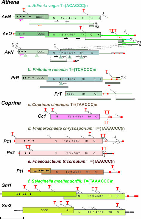 Fig. 2.