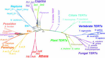 Fig. 4.