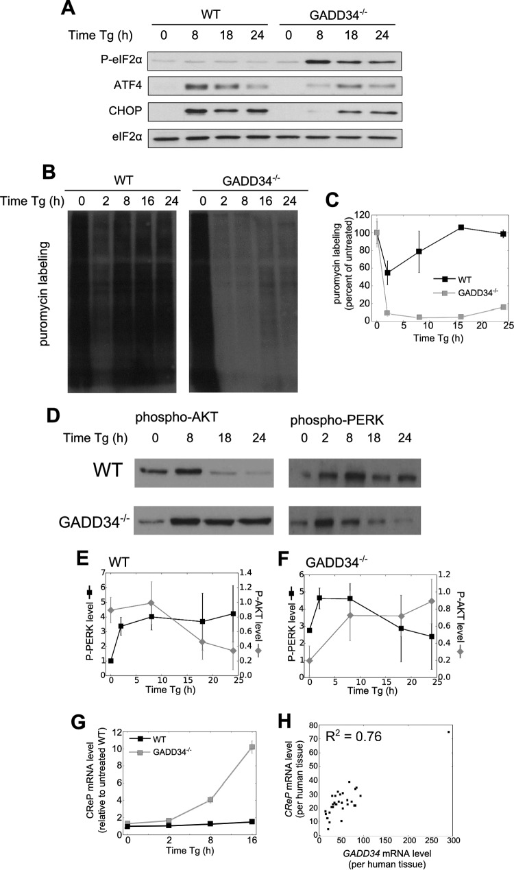 FIG 7