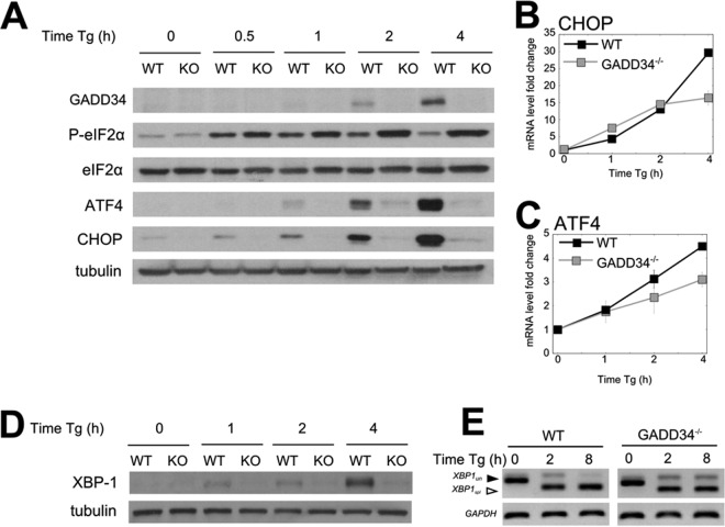 FIG 4