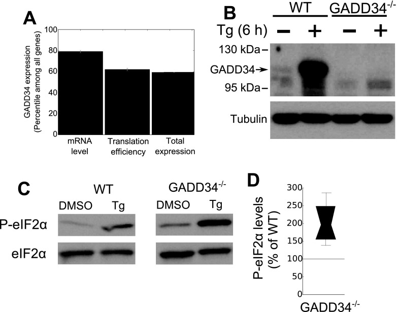 FIG 1