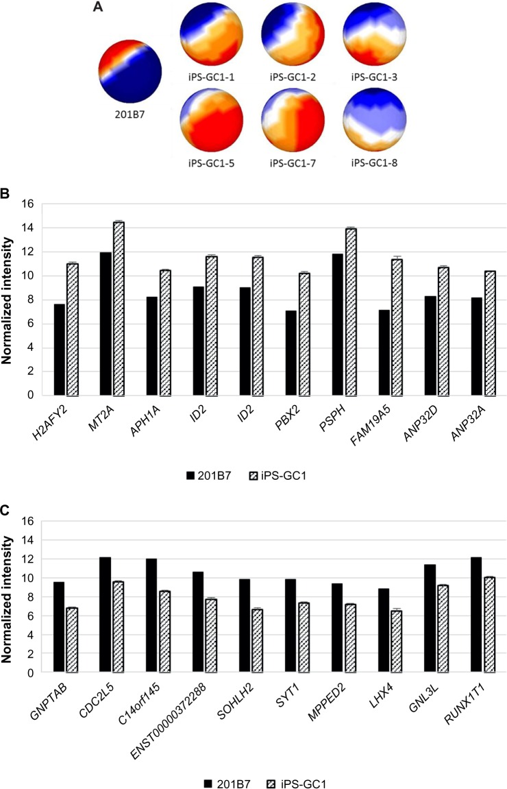 Figure 4