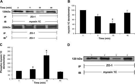 Figure 11.