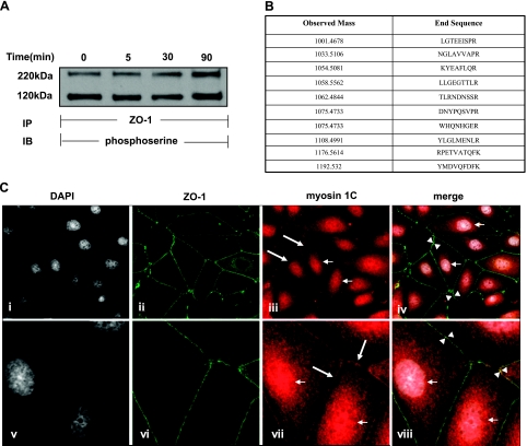 Figure 10.