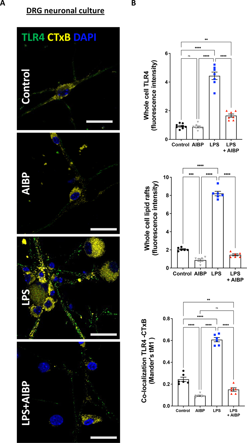 Figure 1: