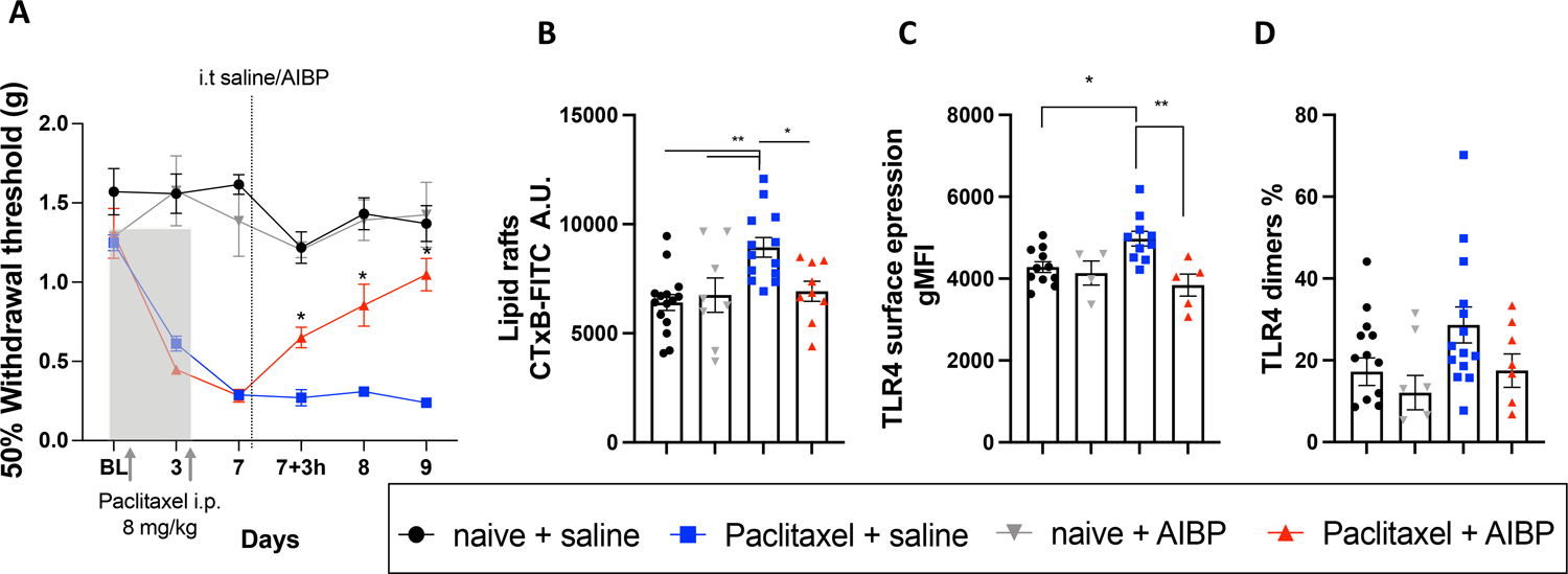 Figure 2: