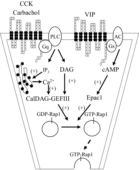 FIGURE 9.