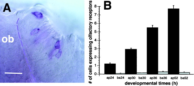 Fig. 6.