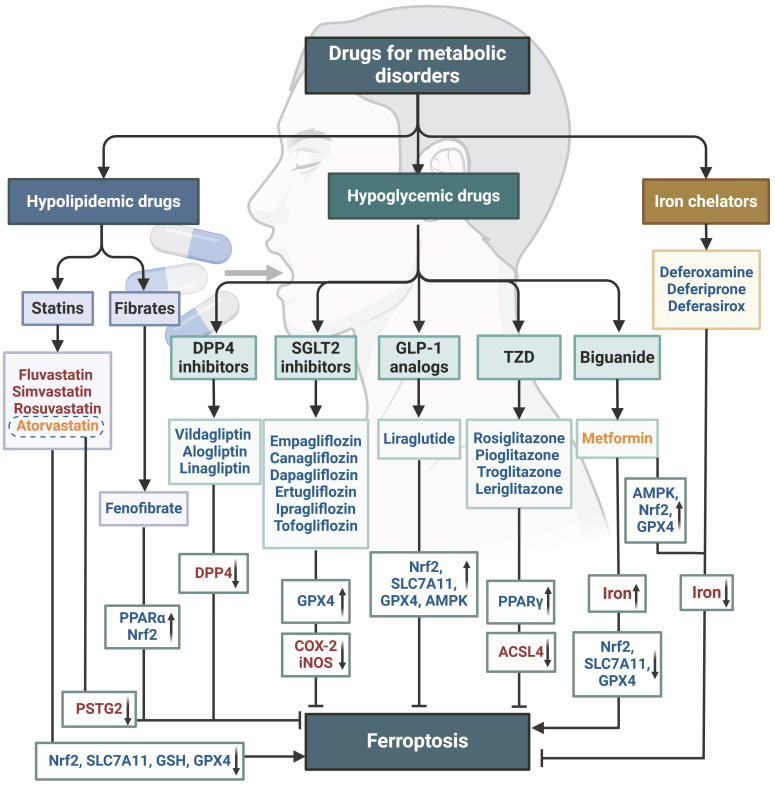 Figure 6