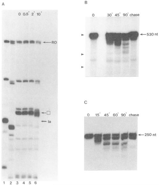 FIG. 5