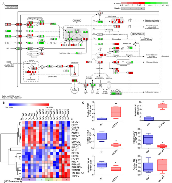 FIGURE 6