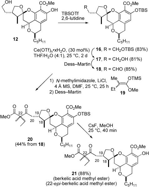 SCHEME 4