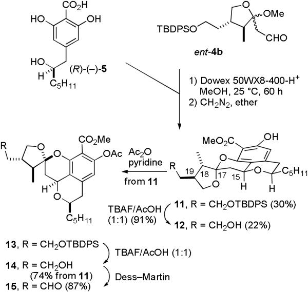 SCHEME 3