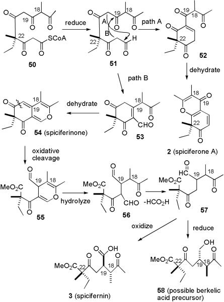 SCHEME 10