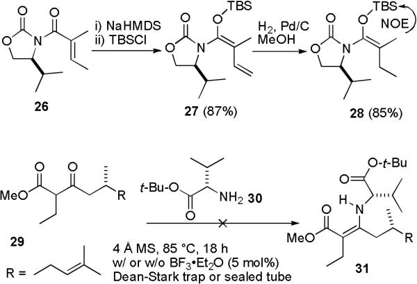 SCHEME 6