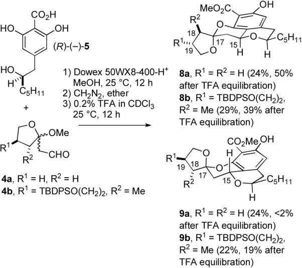 SCHEME 2