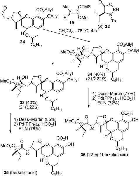 SCHEME 7