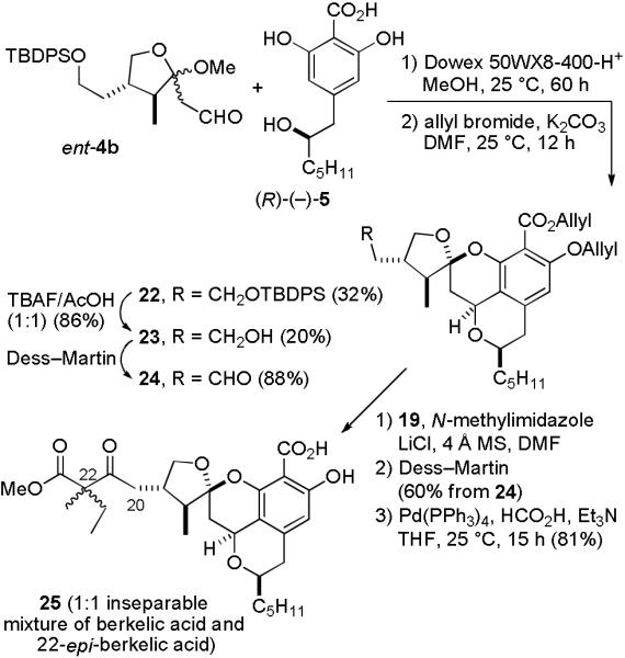 SCHEME 5