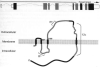 Fig. 4.1