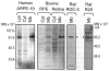 Fig. 4.2
