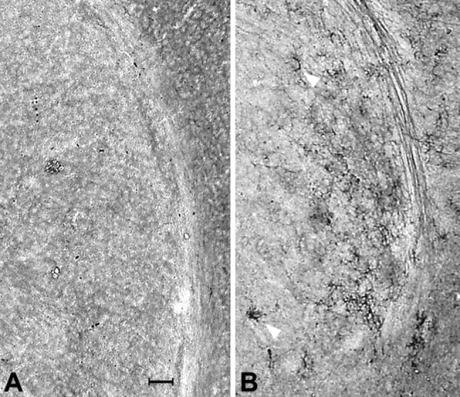 Fig. 10.