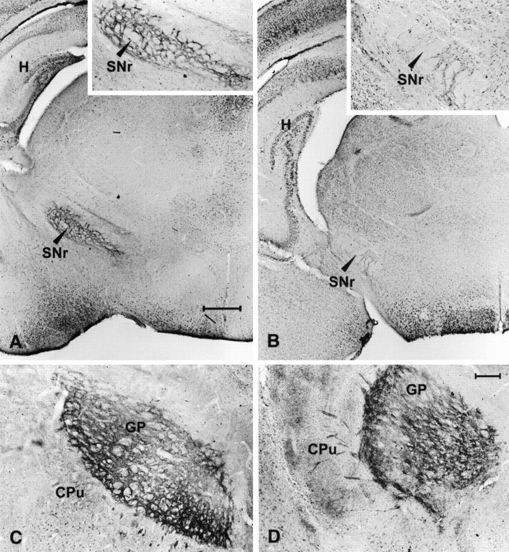 Fig. 11.