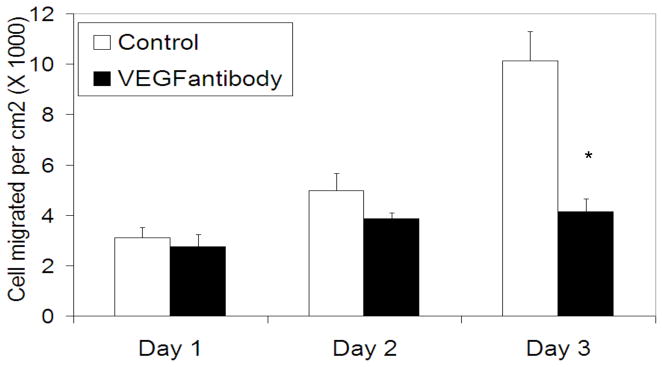 Figure 21