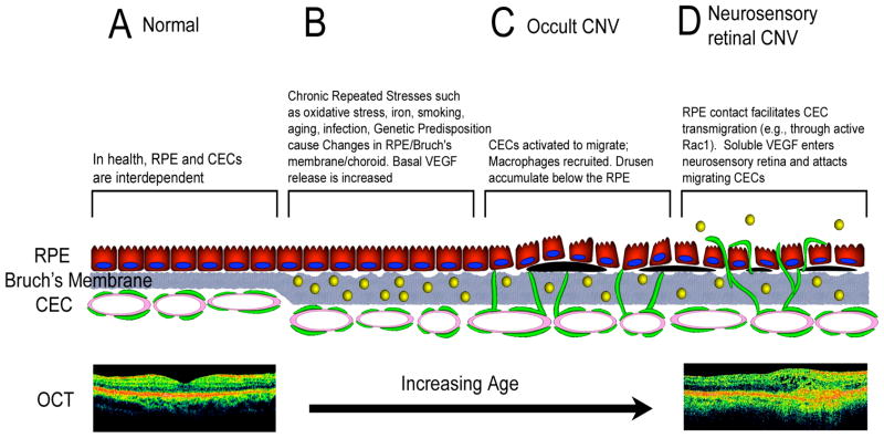 Figure 18