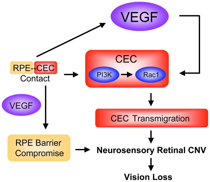 Figure 23