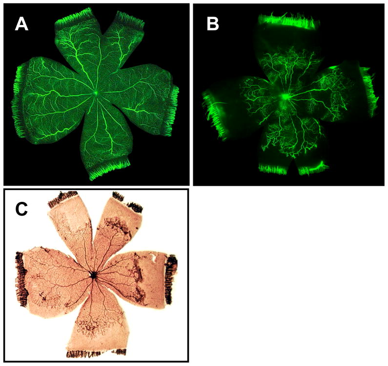 Figure 9