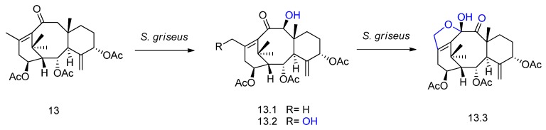 Figure 14