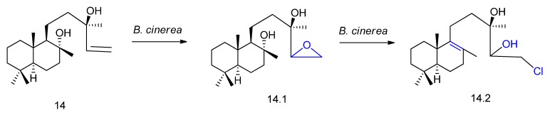 Figure 15