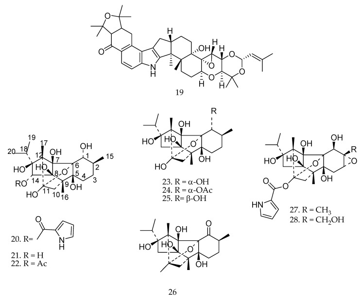 Figure 20