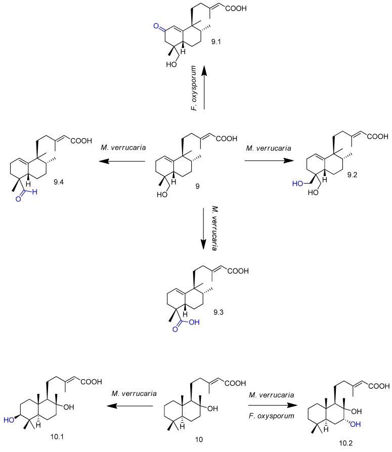 Figure 11