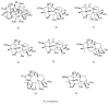 Figure 21