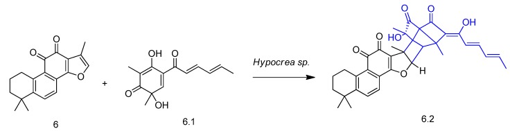 Figure 8