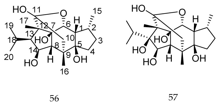 Figure 24