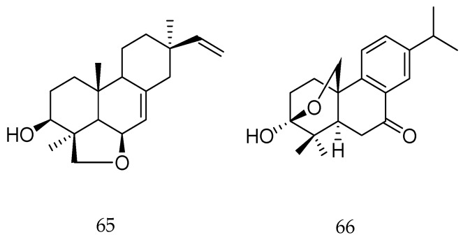 Figure 27