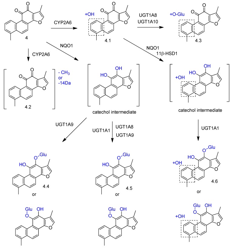 Figure 7