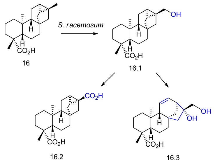 Figure 17