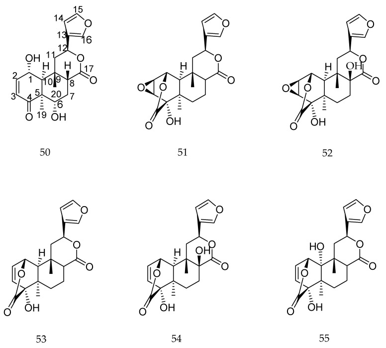 Figure 23