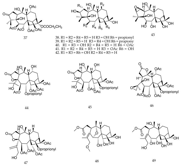 Figure 22