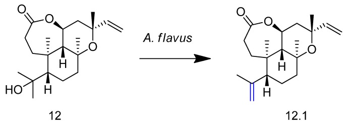 Figure 13