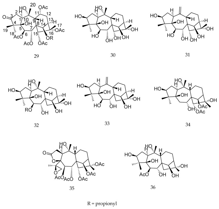 Figure 21