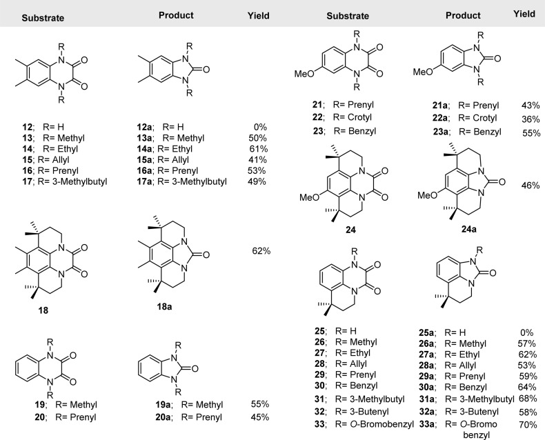 graphic file with name ao-2017-00819n_0008.jpg